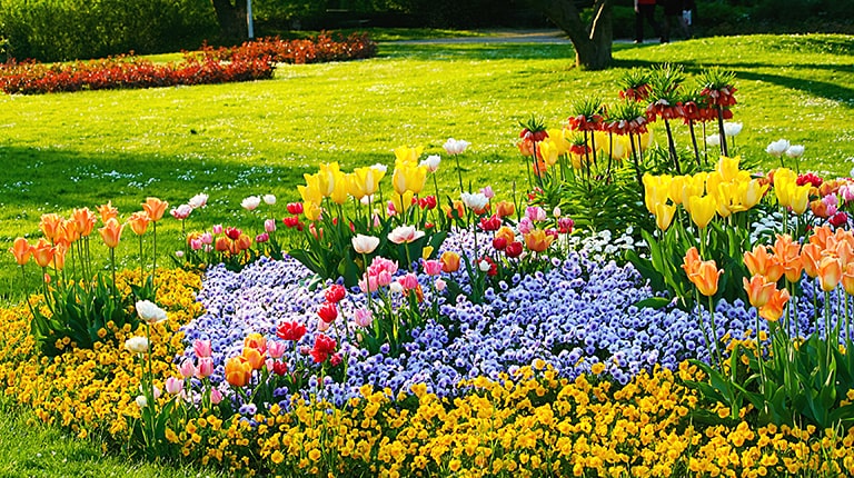フラワーガーデンや花が植えてある公園