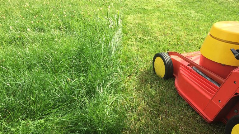 レクリエーション保険で草刈り時の傷害を補償できる