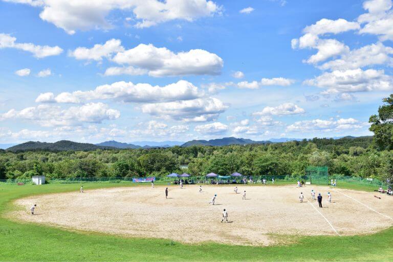 草野球チームにおすすめの団体スポーツ保険4選【補償内容・掛金】