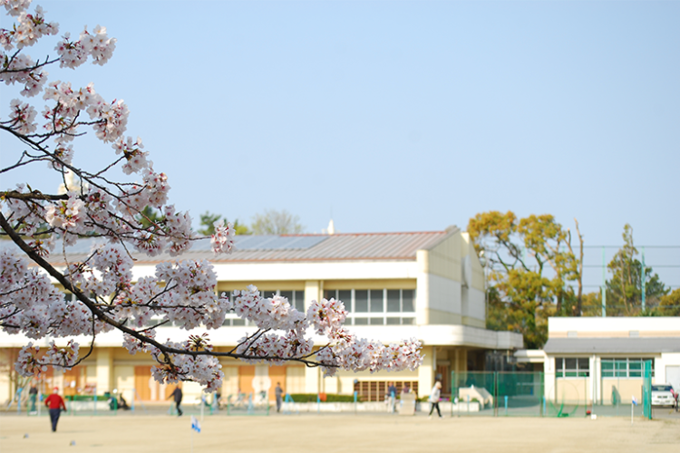 部活動の地域移行とは？教員や保護者の負担はどう変わるのか解説