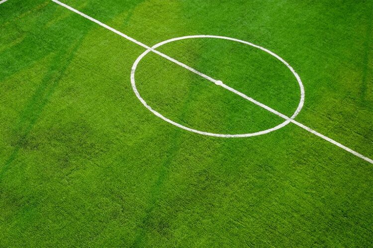 ポジション別の適性・向いているタイプ