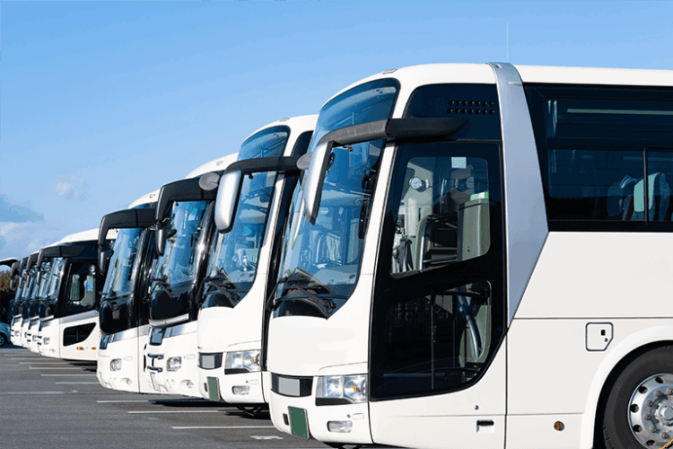 盛り上がるバスレク30選！小・中・高の世代別で楽しめるアイデアを紹介